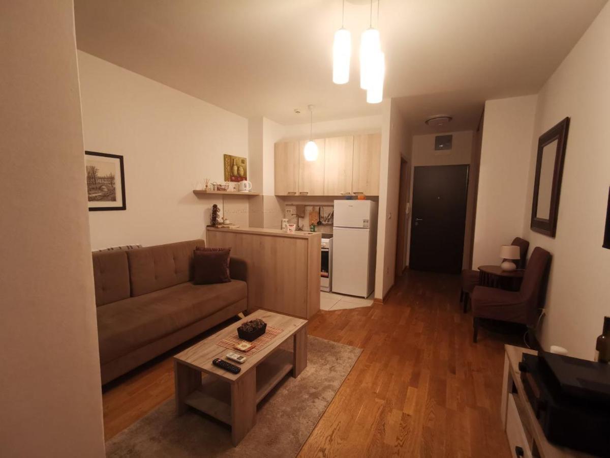 Delta Apartman Podgorica Exteriér fotografie