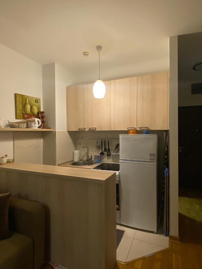Delta Apartman Podgorica Exteriér fotografie
